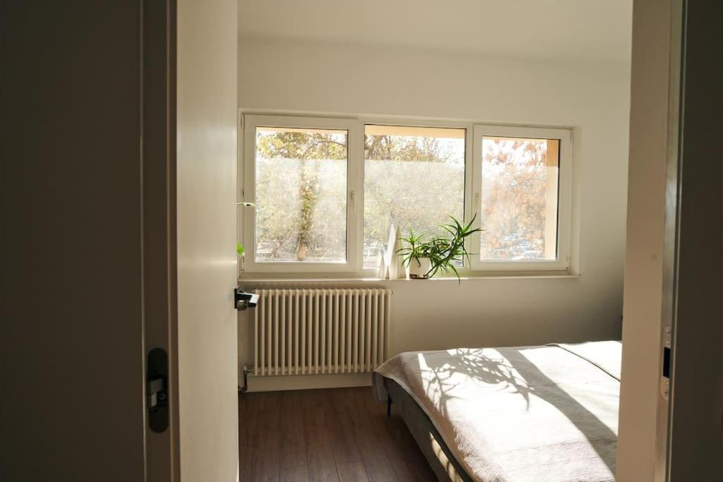 Ultracentral Two Rooms Apartment In Bucureşti Exterior foto